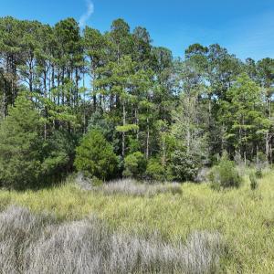 Photo #8 of 175 North Berne Landing Road, New Bern, NC 3.5 acres