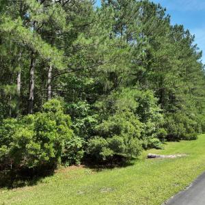 Photo #9 of 175 North Berne Landing Road, New Bern, NC 3.5 acres