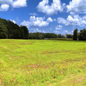 Photo #1 of 481 Nine Mile Rd, Maple Hill, NC 65.3 acres