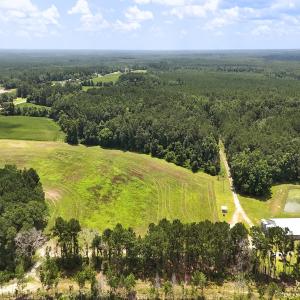 Photo #9 of 481 Nine Mile Rd, Maple Hill, NC 65.3 acres