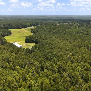 Photo #11 of 481 Nine Mile Rd, Maple Hill, NC 65.3 acres