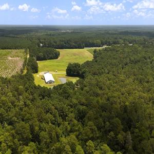 Photo #12 of 481 Nine Mile Rd, Maple Hill, NC 65.3 acres