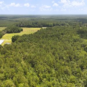 Photo #13 of 481 Nine Mile Rd, Maple Hill, NC 65.3 acres