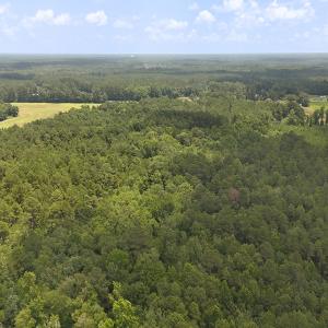 Photo #14 of 481 Nine Mile Rd, Maple Hill, NC 65.3 acres