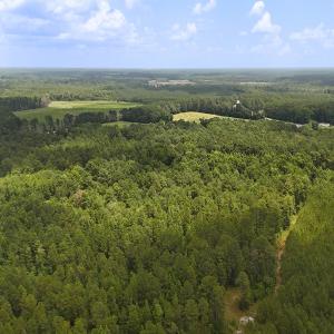 Photo #15 of 481 Nine Mile Rd, Maple Hill, NC 65.3 acres