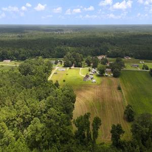 Photo #16 of 481 Nine Mile Rd, Maple Hill, NC 65.3 acres