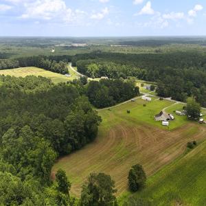 Photo #17 of 481 Nine Mile Rd, Maple Hill, NC 65.3 acres