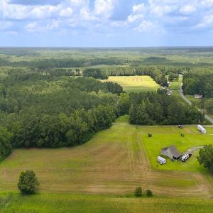 Photo #18 of 481 Nine Mile Rd, Maple Hill, NC 65.3 acres
