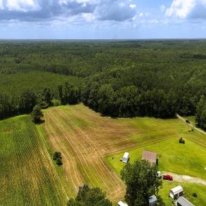 Photo #19 of 481 Nine Mile Rd, Maple Hill, NC 65.3 acres