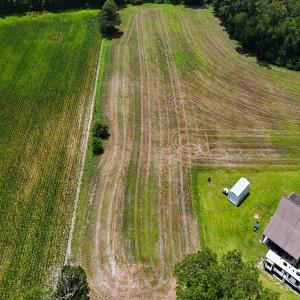 Photo #20 of 481 Nine Mile Rd, Maple Hill, NC 65.3 acres