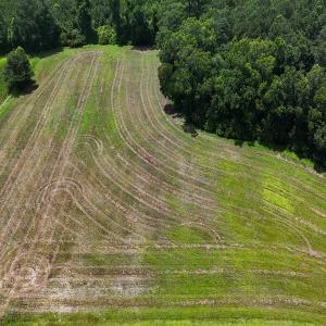 Photo #27 of 481 Nine Mile Rd, Maple Hill, NC 65.3 acres