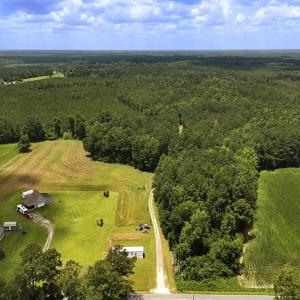 Photo #2 of 481 Nine Mile Rd, Maple Hill, NC 65.3 acres