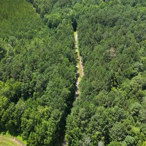 Photo #29 of 481 Nine Mile Rd, Maple Hill, NC 65.3 acres
