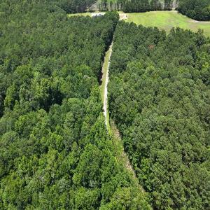 Photo #30 of 481 Nine Mile Rd, Maple Hill, NC 65.3 acres