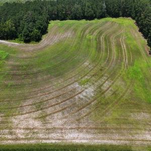 Photo #32 of 481 Nine Mile Rd, Maple Hill, NC 65.3 acres