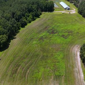 Photo #33 of 481 Nine Mile Rd, Maple Hill, NC 65.3 acres