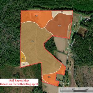 Photo #36 of 481 Nine Mile Rd, Maple Hill, NC 65.3 acres
