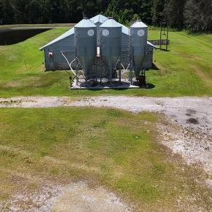 Photo #40 of 481 Nine Mile Rd, Maple Hill, NC 65.3 acres