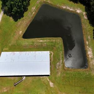 Photo #41 of 481 Nine Mile Rd, Maple Hill, NC 65.3 acres