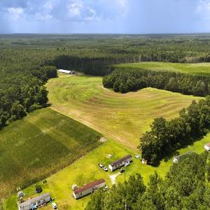 Photo #4 of 481 Nine Mile Rd, Maple Hill, NC 65.3 acres