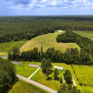 Photo #5 of 481 Nine Mile Rd, Maple Hill, NC 65.3 acres