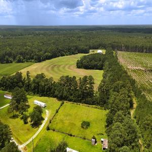 Photo #6 of 481 Nine Mile Rd, Maple Hill, NC 65.3 acres