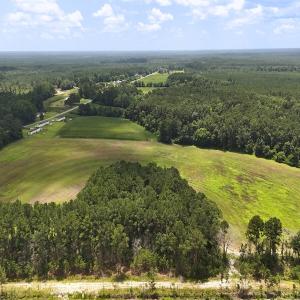 Photo #8 of 481 Nine Mile Rd, Maple Hill, NC 65.3 acres