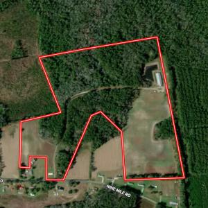Photo #42 of 481 Nine Mile Rd, Maple Hill, NC 65.3 acres