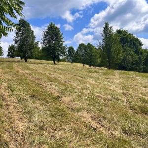 Photo #18 of Off Holiday Circle, Vinton, VA 2.1 acres