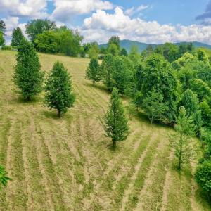 Photo #20 of Off Holiday Circle, Vinton, VA 2.1 acres
