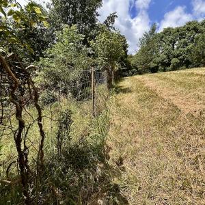 Photo #22 of Off Holiday Circle, Vinton, VA 2.1 acres