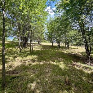 Photo #23 of Off Holiday Circle, Vinton, VA 2.1 acres
