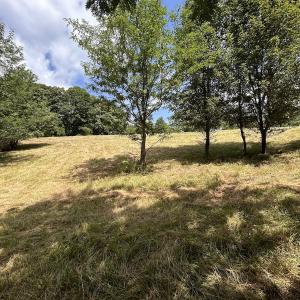 Photo #25 of Off Holiday Circle, Vinton, VA 2.1 acres