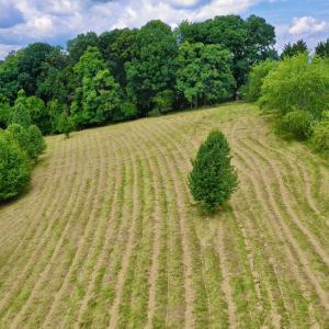 Photo #4 of Off Holiday Circle, Vinton, VA 2.1 acres