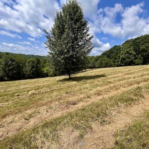 Photo #7 of Off Holiday Circle, Vinton, VA 2.1 acres