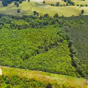 Photo #10 of Off US HWY 220 S, Asheboro, NC 32.3 acres