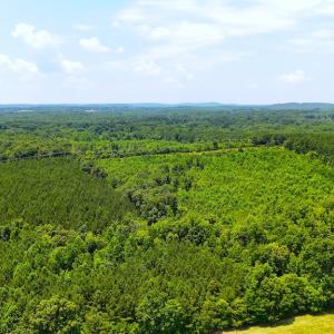 Photo #11 of Off US HWY 220 S, Asheboro, NC 32.3 acres