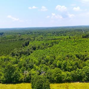 Photo #12 of Off US HWY 220 S, Asheboro, NC 32.3 acres