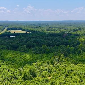 Photo #15 of Off US HWY 220 S, Asheboro, NC 32.3 acres