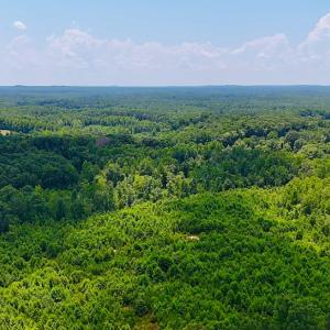 Photo #17 of Off US HWY 220 S, Asheboro, NC 32.3 acres