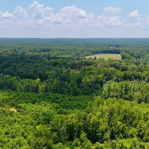 Photo #19 of Off US HWY 220 S, Asheboro, NC 32.3 acres