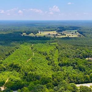Photo #2 of Off US HWY 220 S, Asheboro, NC 32.3 acres