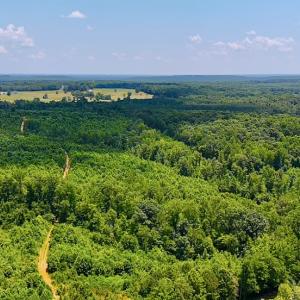 Photo #20 of Off US HWY 220 S, Asheboro, NC 32.3 acres