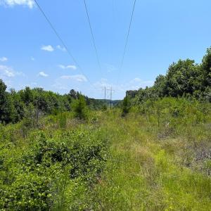 Photo #21 of Off US HWY 220 S, Asheboro, NC 32.3 acres