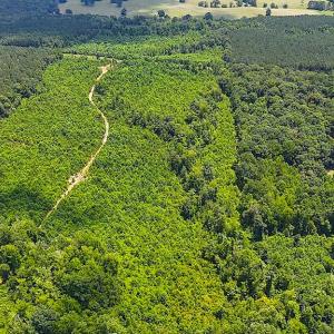 Photo #4 of Off US HWY 220 S, Asheboro, NC 32.3 acres