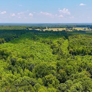 Photo #5 of Off US HWY 220 S, Asheboro, NC 32.3 acres