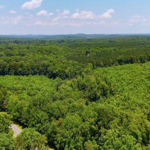Photo #6 of Off US HWY 220 S, Asheboro, NC 32.3 acres