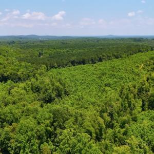 Photo #7 of Off US HWY 220 S, Asheboro, NC 32.3 acres