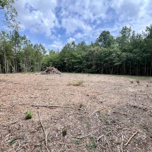 Photo #10 of Off Boss McLawhorn Rd, Grifton, NC 25.2 acres