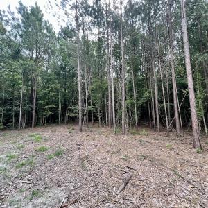 Photo #11 of Off Boss McLawhorn Rd, Grifton, NC 25.2 acres